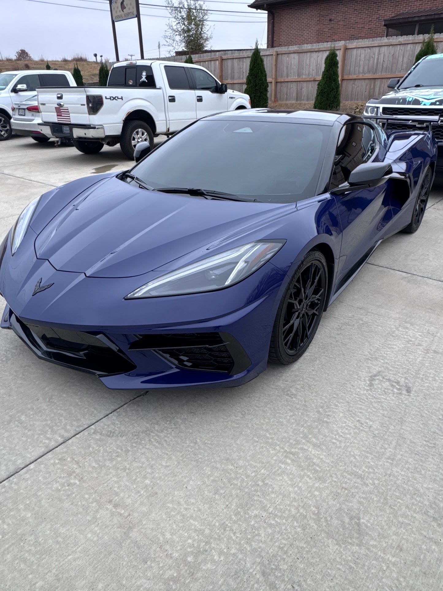 LIMITED "TEST DRIVE" FREE SAMPLE